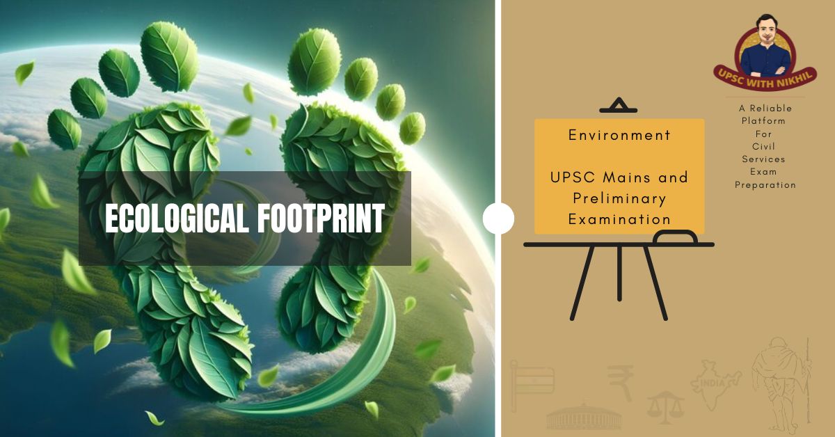 The Ecological Footprint