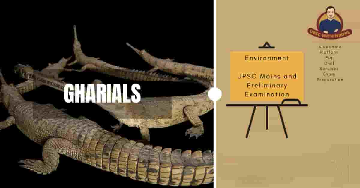 Gharials