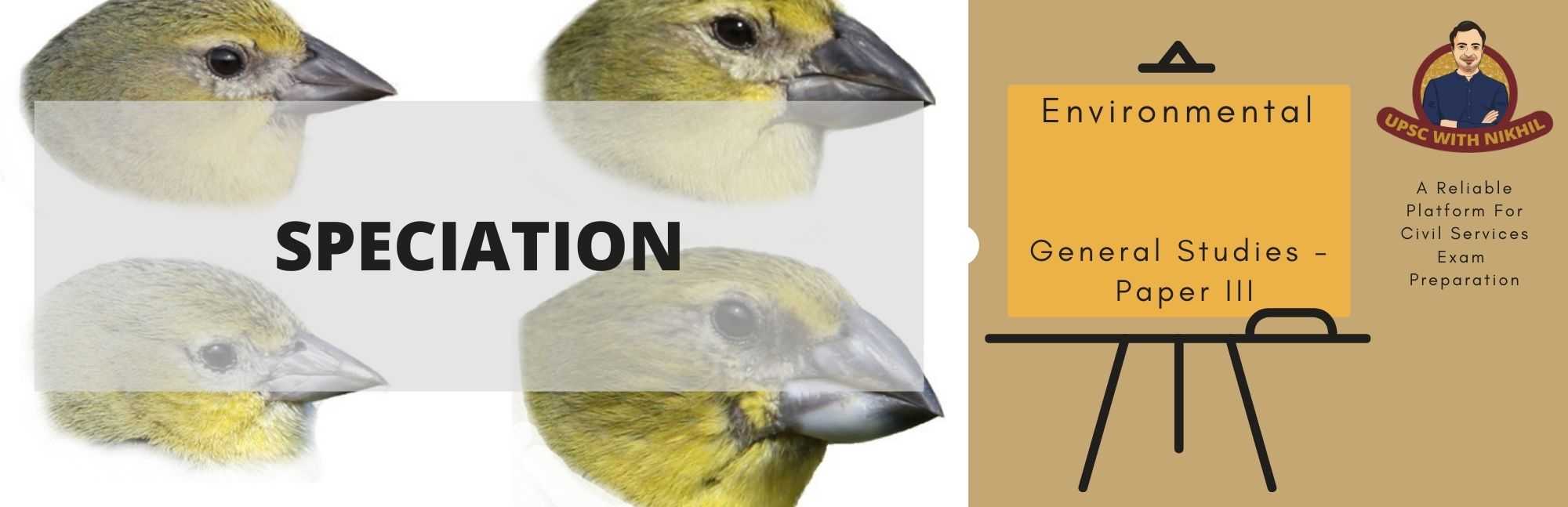 Speciation
