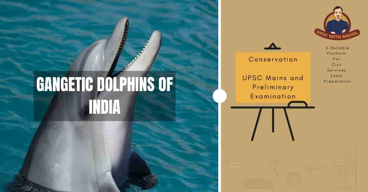 Gangetic Dolphins of India