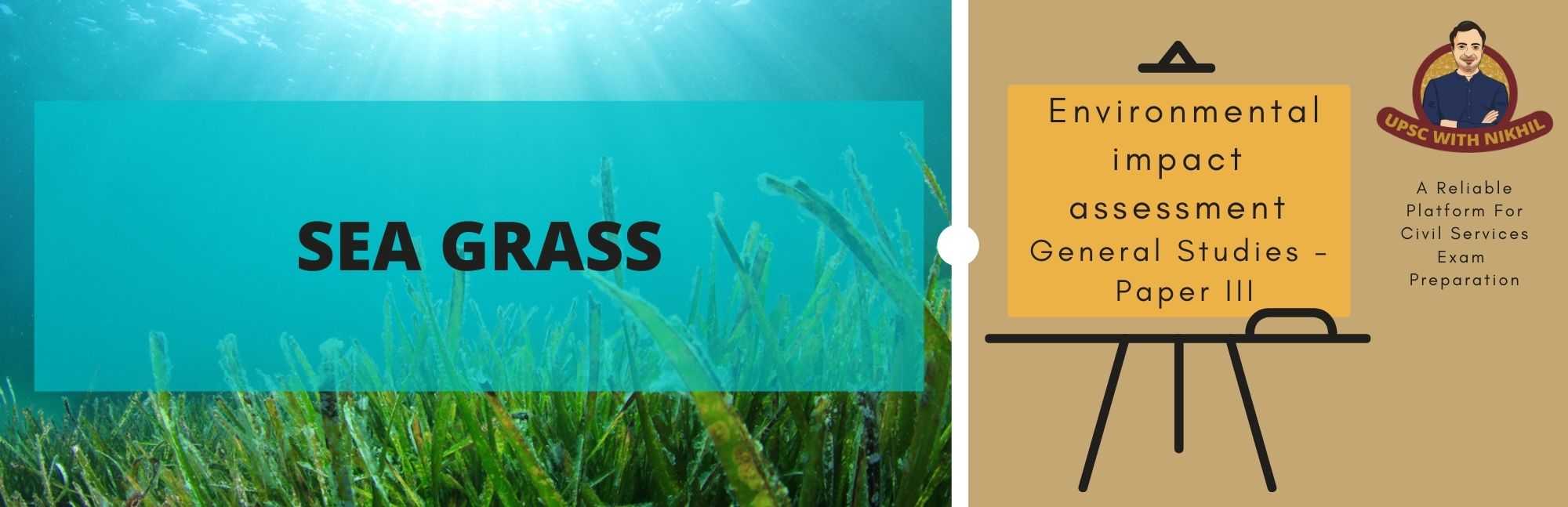 Sea Grass