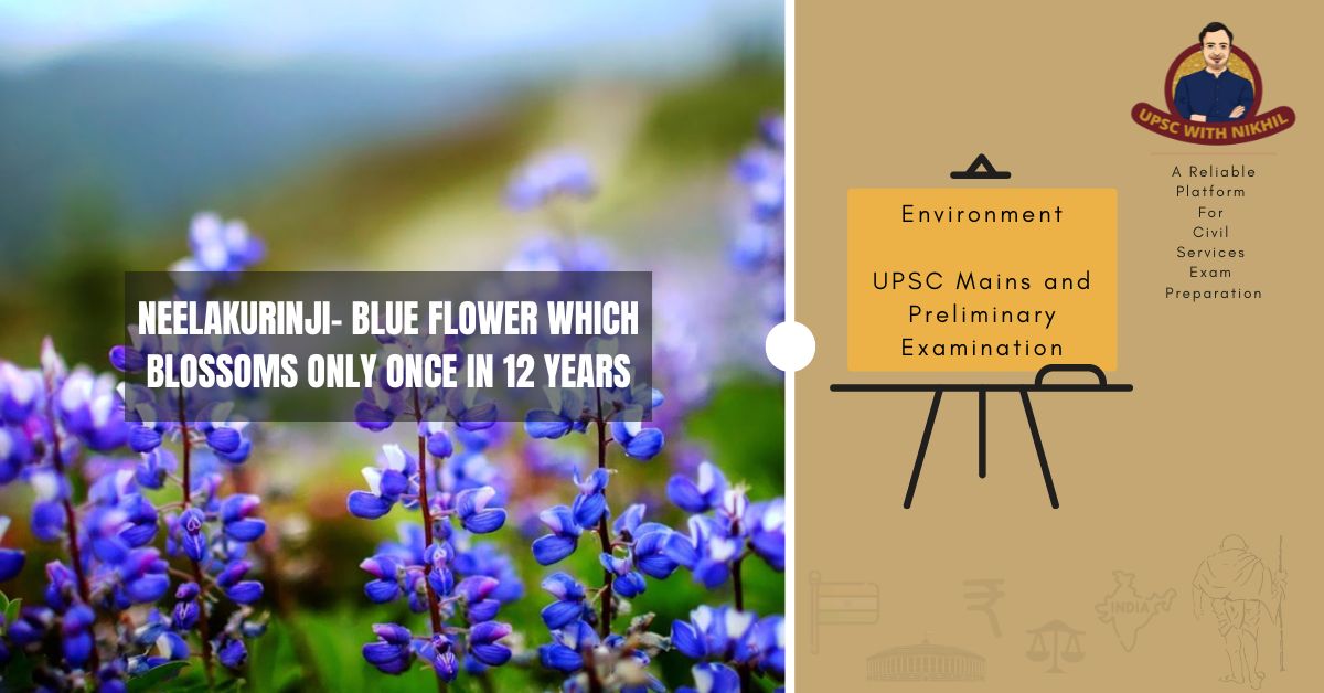 Neelakurinji- Blue Flower Whic