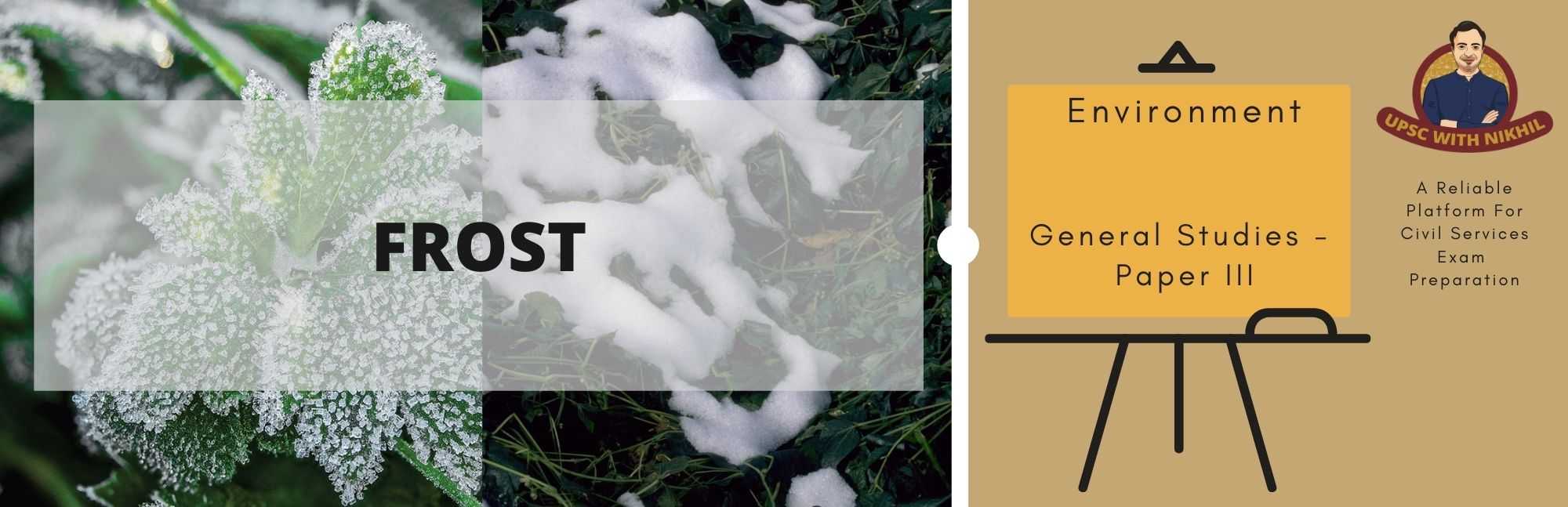 Frost
