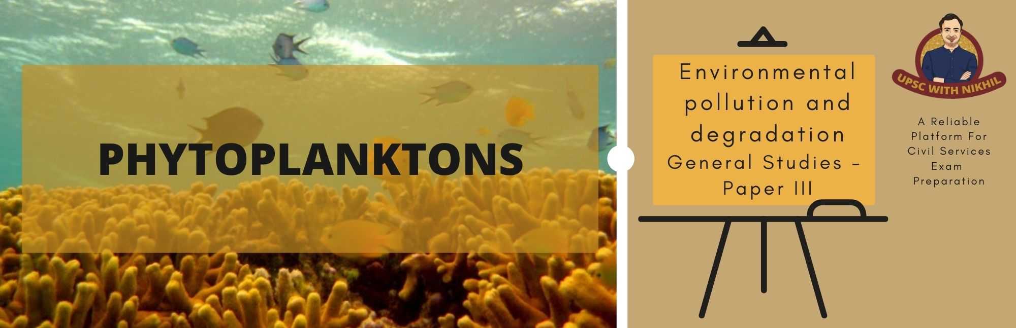 Phytoplanktons