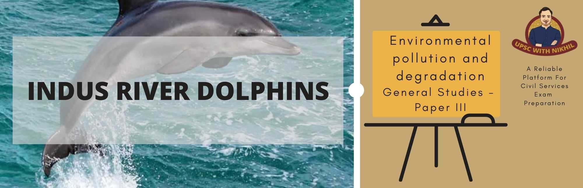 Indus River Dolphins