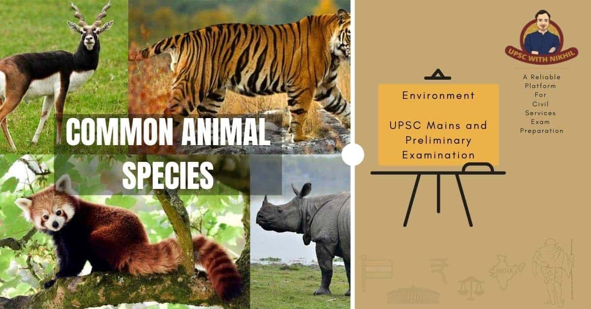 Common Animal Species in India