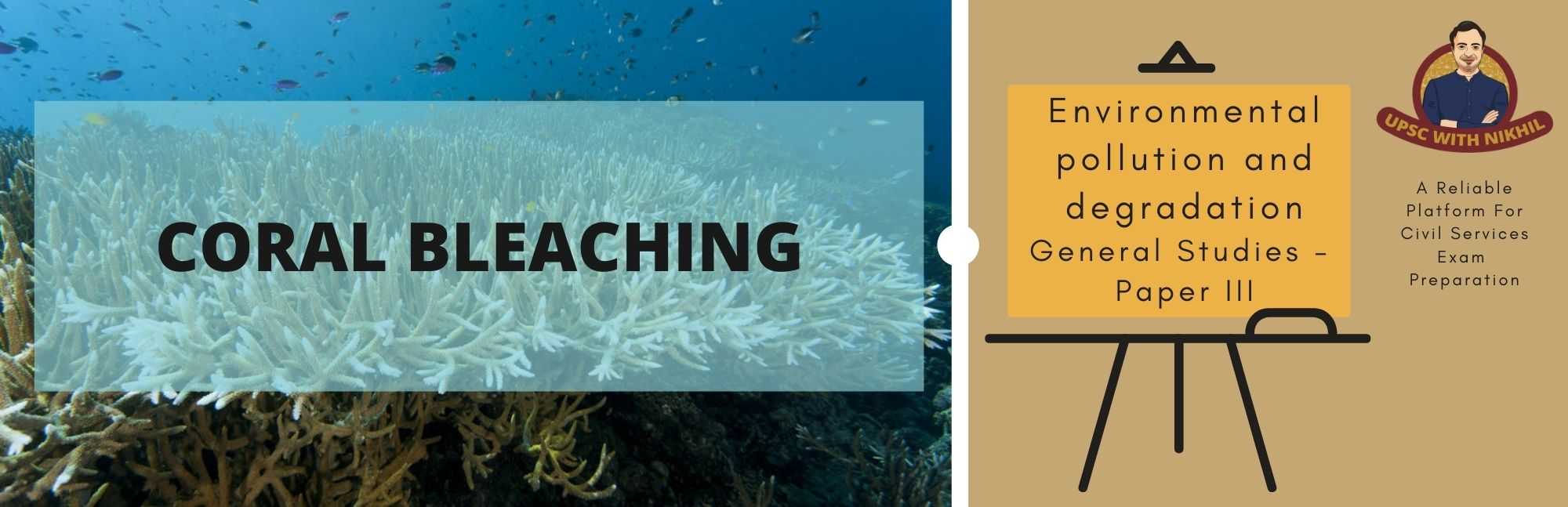 Coral Bleaching
