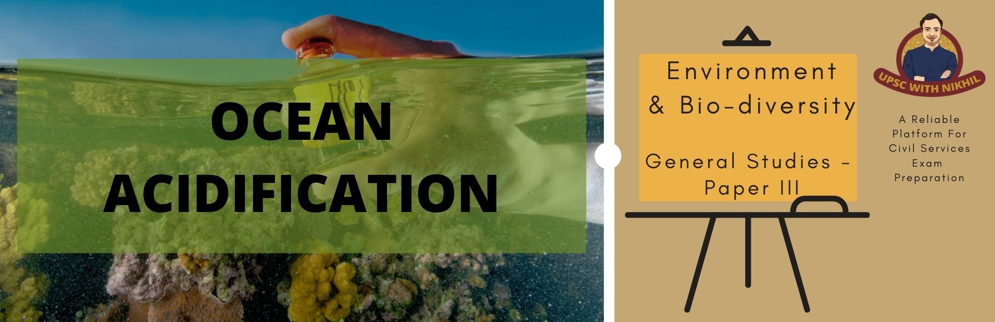 Ocean Acidification