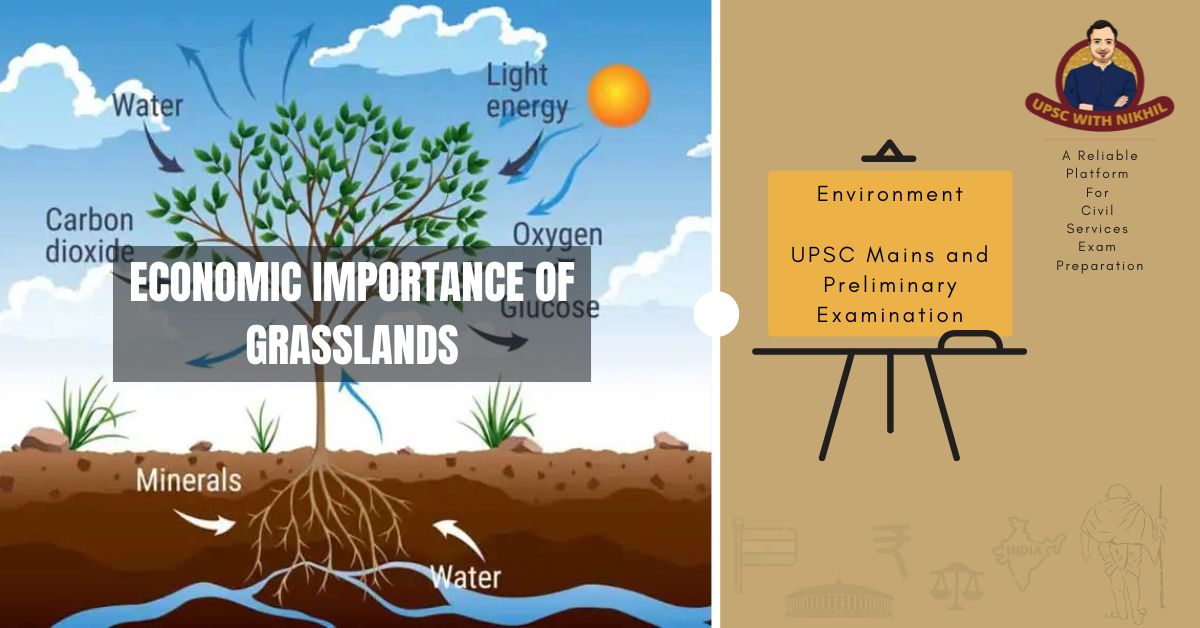 Economic Importance of Grasslands – Environment