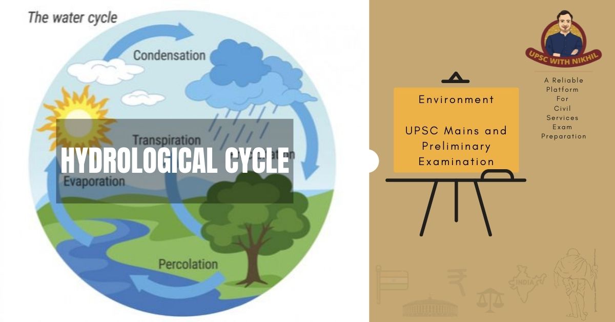 The Hydrological Cycle