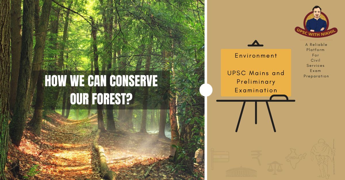 How We Can Conserve Our Forest