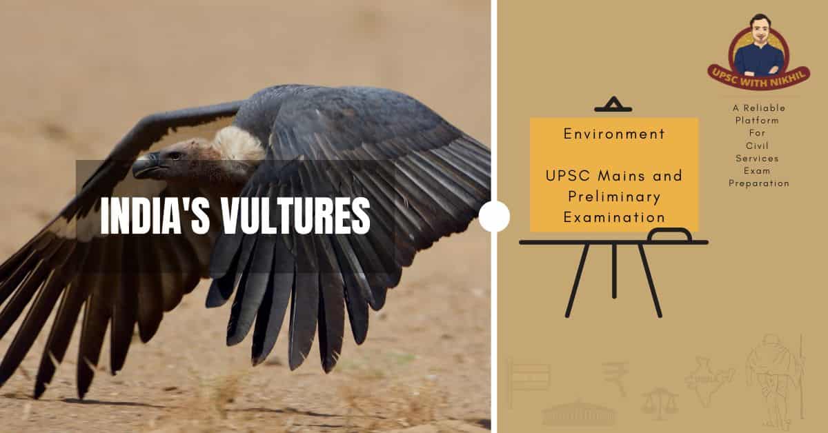 India's Vultures