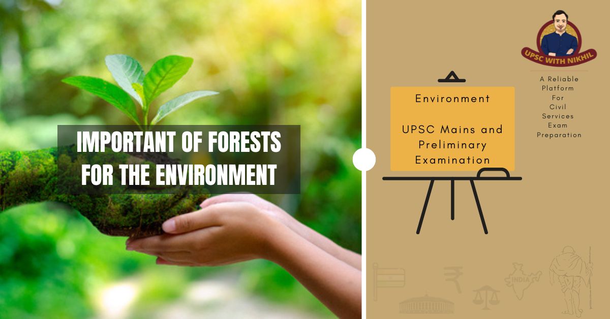 Important of Forests For The E