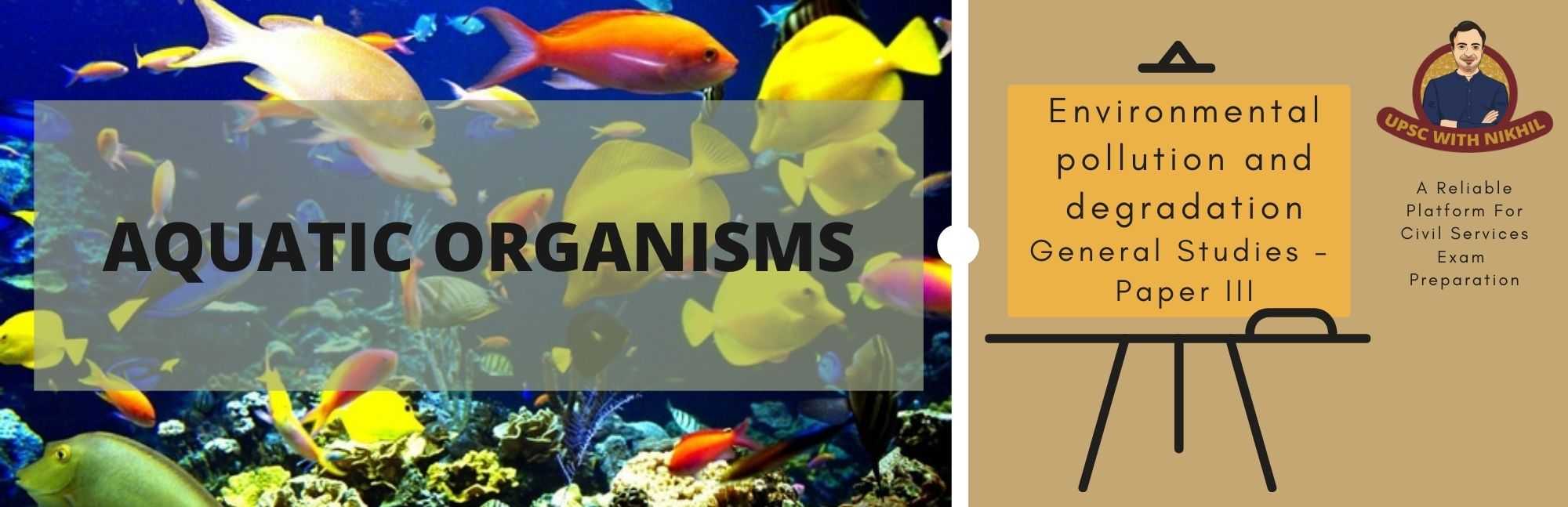 Aquatic Organisms