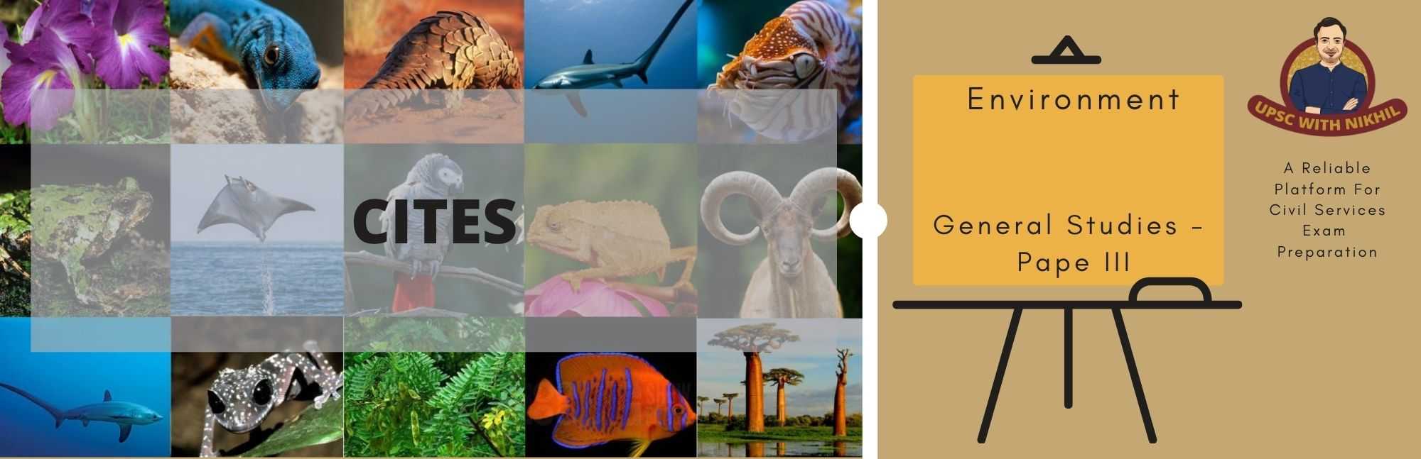 Cites