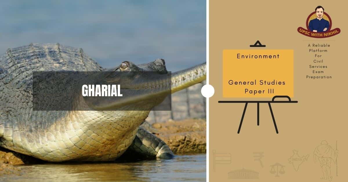 Gharial