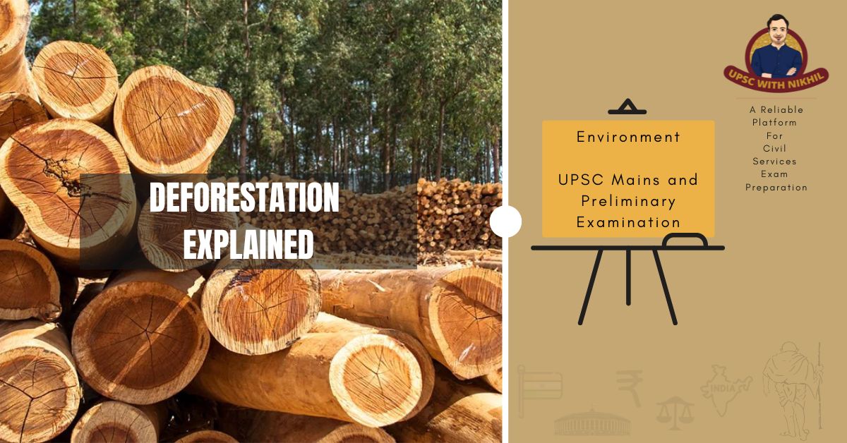 Deforestation – Explained