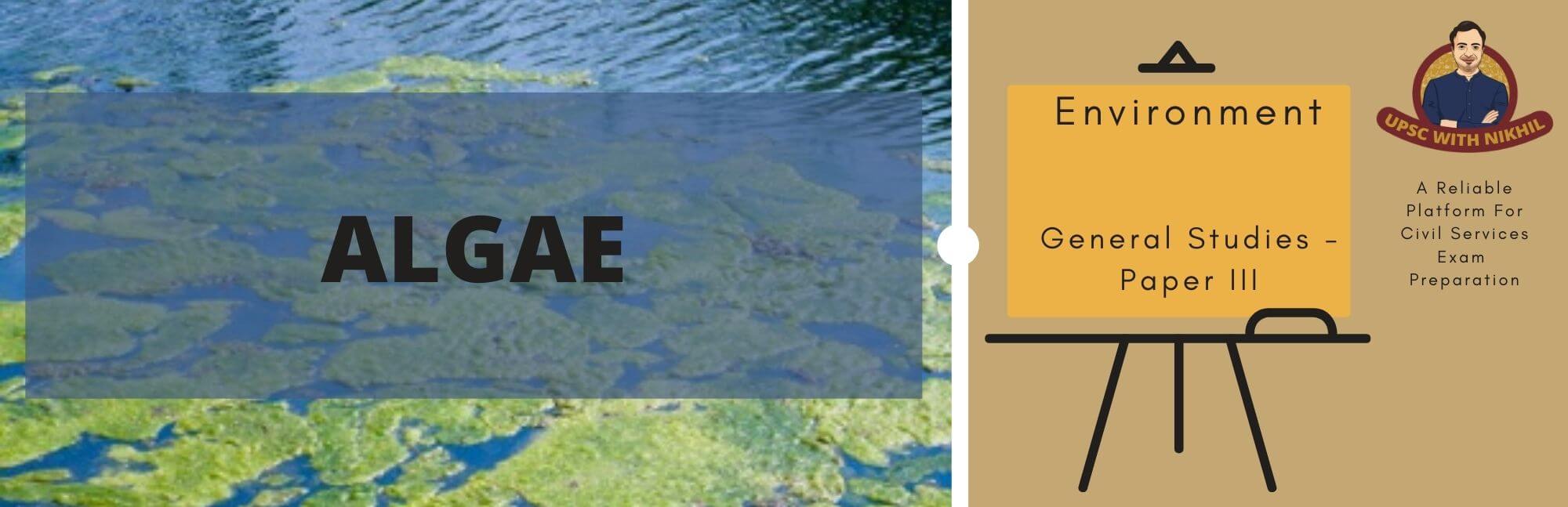 Algae