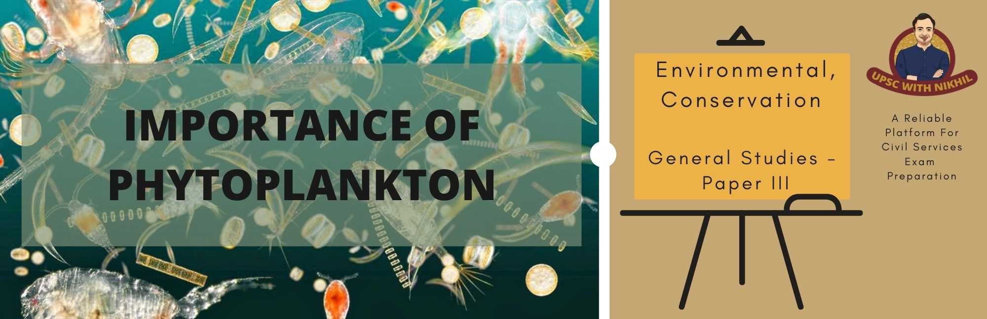 Importance of Phytoplankton