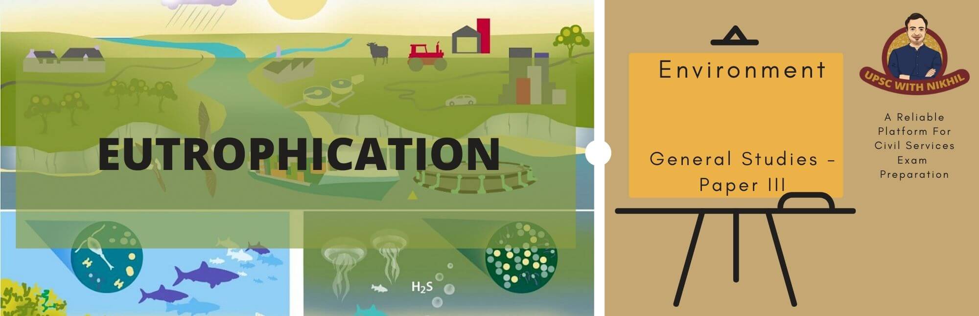 Eutrophication