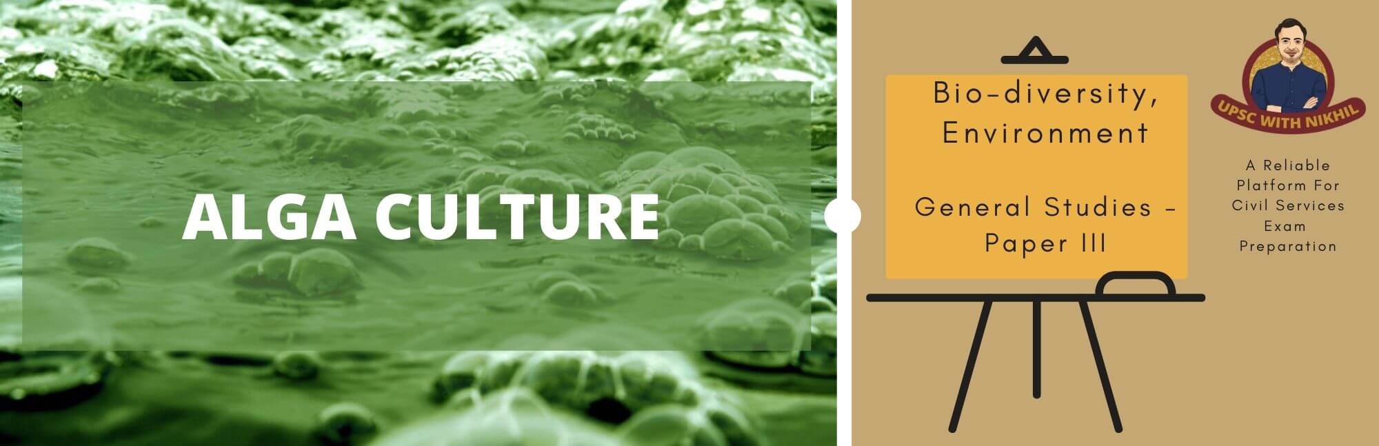 Alga Culture