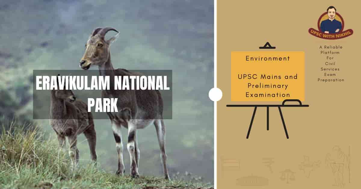 Eravikulam National Park