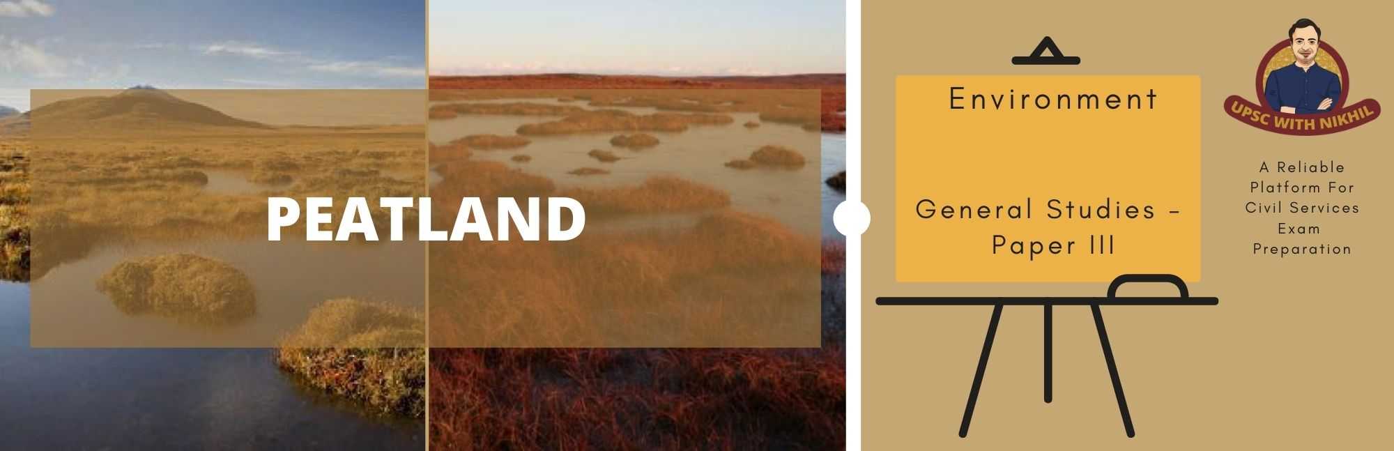 Peatland