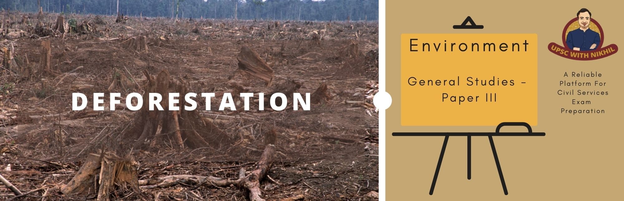 Deforestation