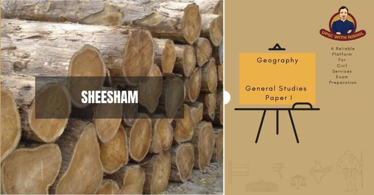 Sheesham